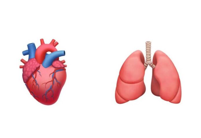 Secondo alcuni medici c’è bisogno di nuove emoji con organi del corpo umano