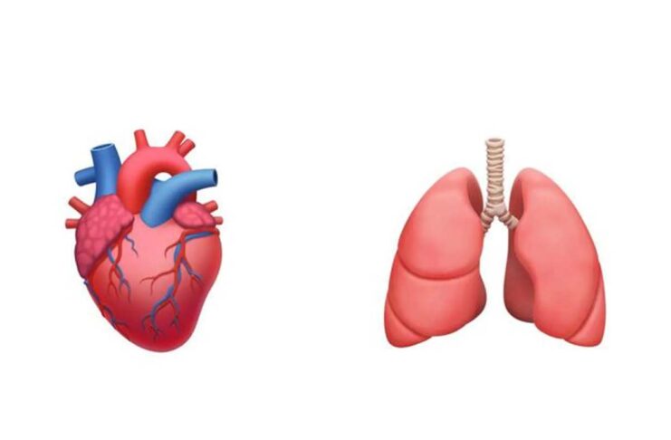 Secondo alcuni medici c’è bisogno di nuove emoji con organi del corpo umano