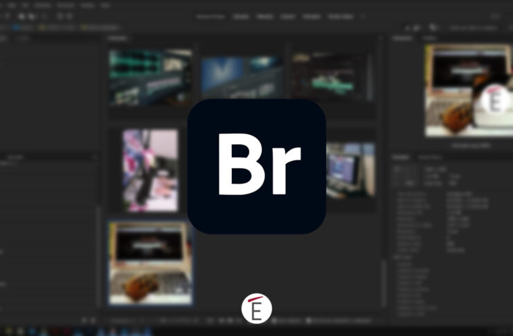 Sei ragioni per usare Adobe Bridge ora