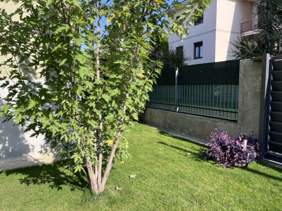 iPhone 13, ancora la scelta più razionale (per quasi tutti)