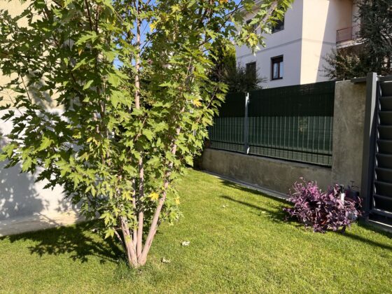 iPhone 13, ancora la scelta più razionale (per quasi tutti)