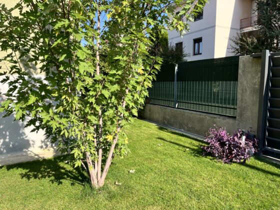 iPhone 13, ancora la scelta più razionale (per quasi tutti)