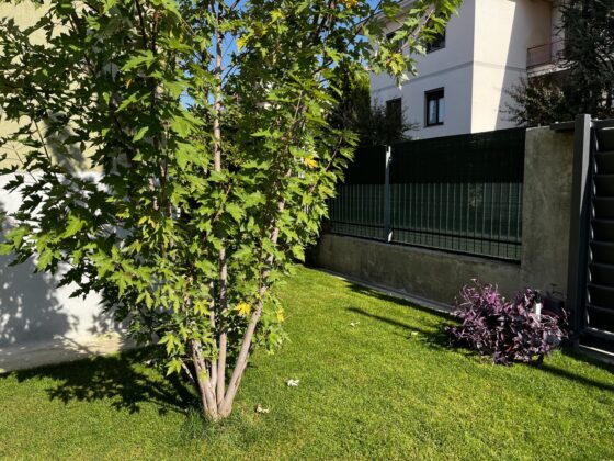 iPhone 13, ancora la scelta più razionale (per quasi tutti)