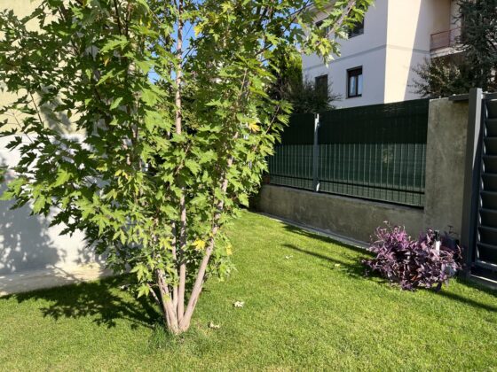 iPhone 13, ancora la scelta più razionale (per quasi tutti)