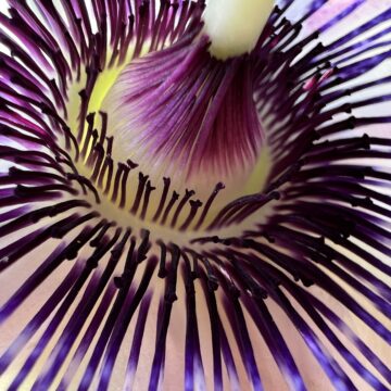 iPhone 13, ancora la scelta più razionale (per quasi tutti)