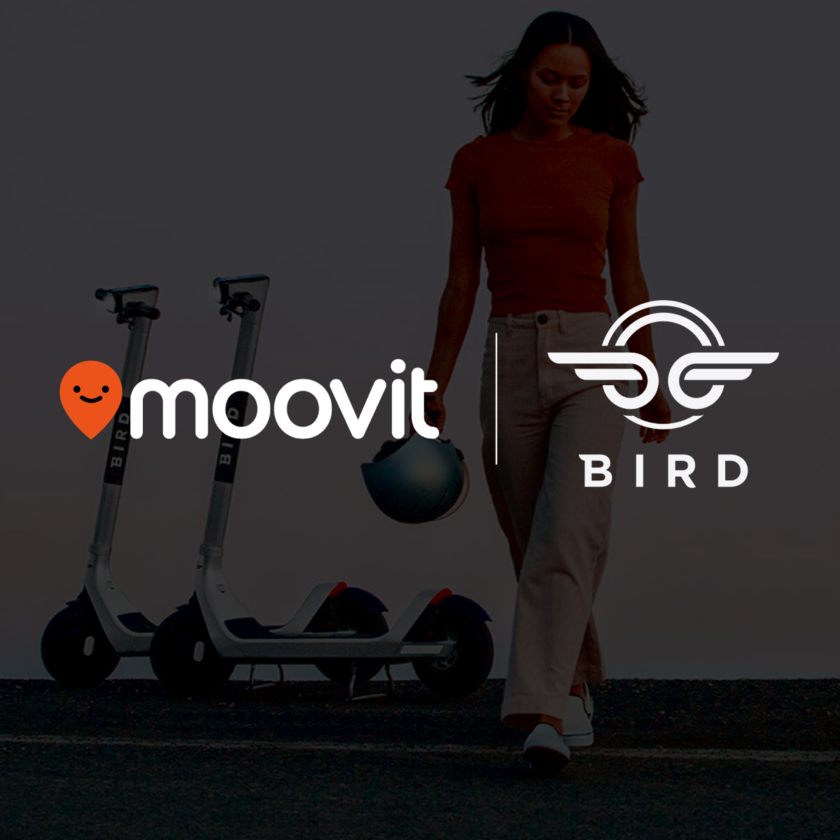 moovit bird 1