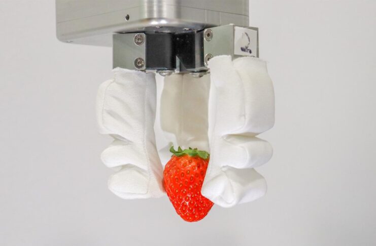 Da Singapore nuovi robot con dita in grado di manipolare oggetti delicatissimi