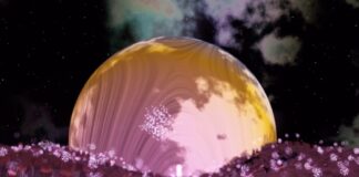 Adobe svela le tendenze dell’industria creativa 2022