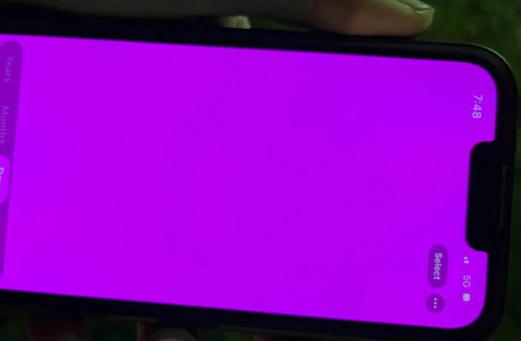 iPhone 13 con schermo rosa: Apple dice che è un bug software