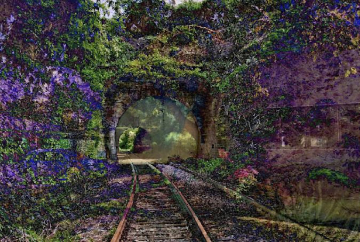 L’arte creata dall’intelligenza artificiale non può essere protetta da copyright