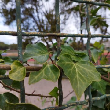 Recensione POCO X4 Pro 5G, a questo prezzo il miglior display