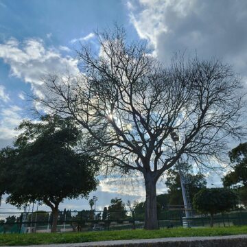 Recensione POCO X4 Pro 5G, a questo prezzo il miglior display