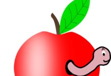 Apple denuncia una scuola pubblica per il logo con tre mele