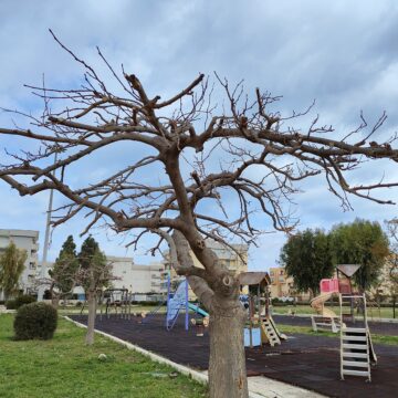 Recensione Realme GT 2 Pro, piacevole e performante