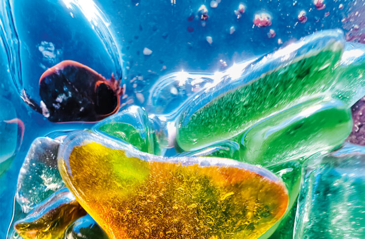 Apple svela i vincitori del concorso Shot on iPhone Macro