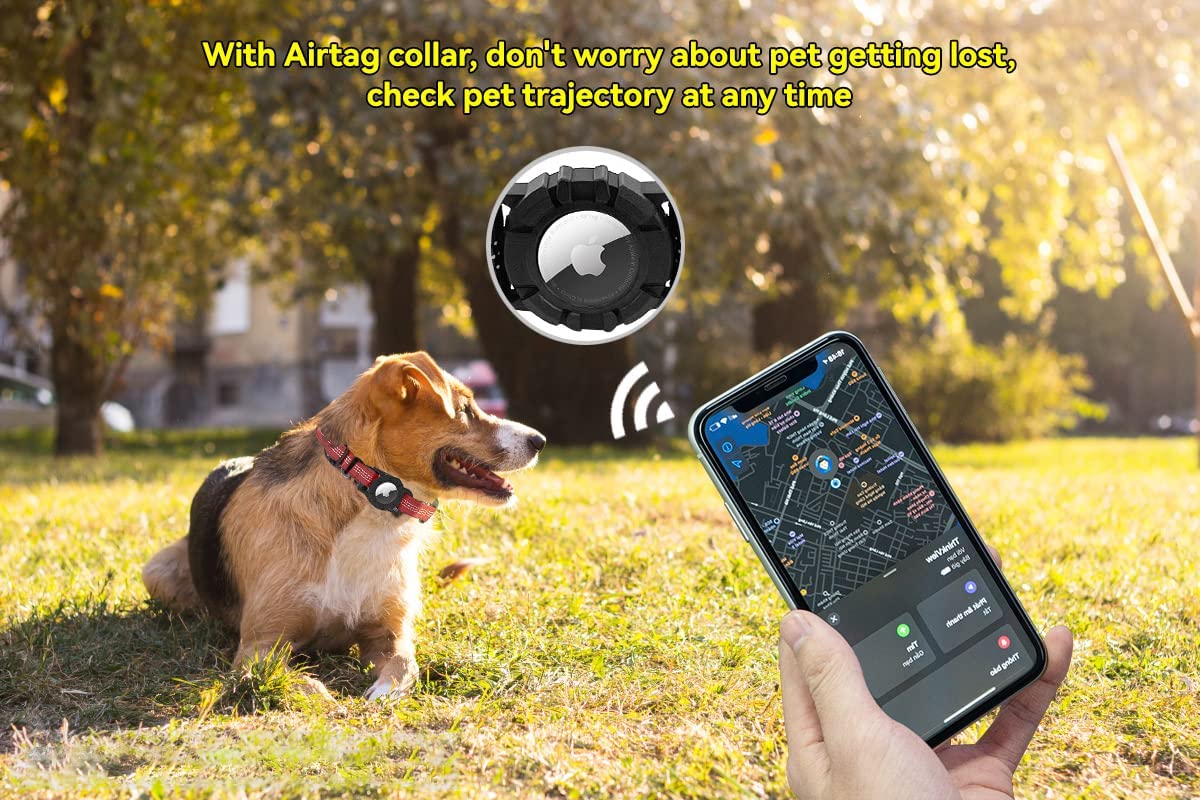 AirTag, come usarlo per tracciare oggetti preziosi e animali