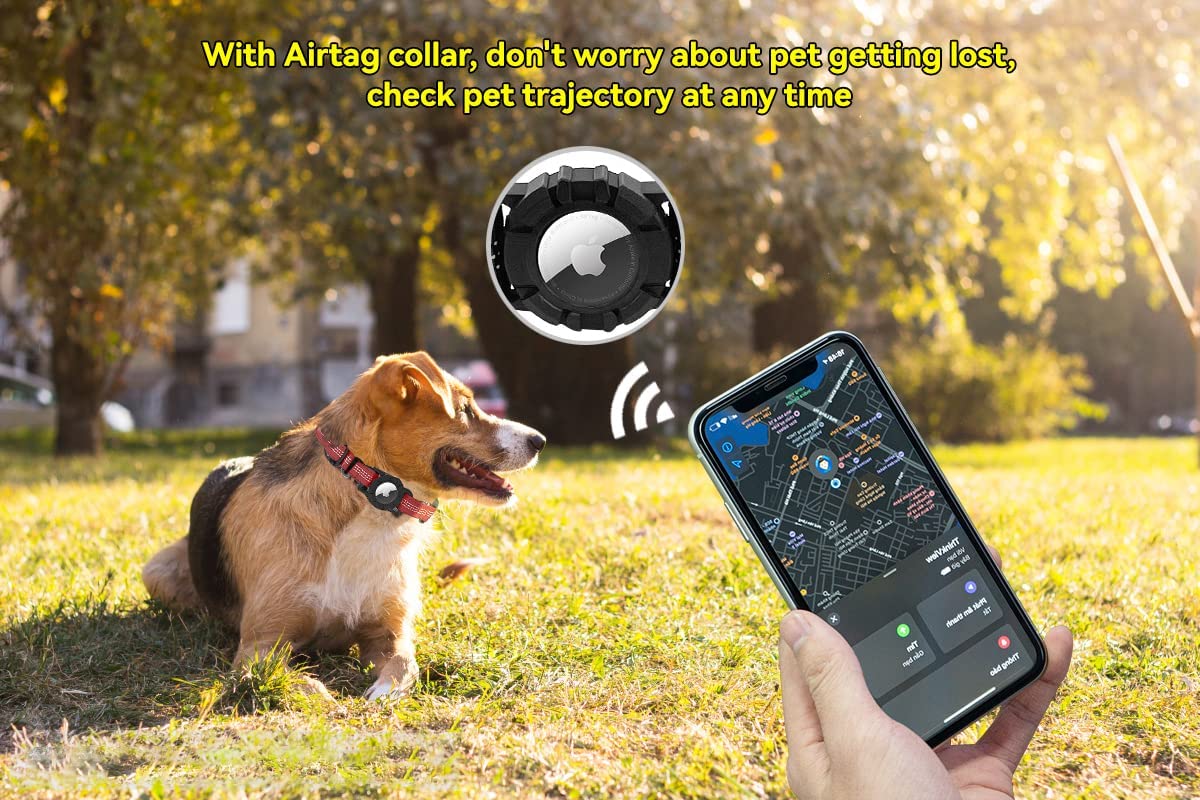 AirTag, come usarlo per tracciare oggetti preziosi e animali AirTag, come usarlo per tracciare oggetti preziosi e animali