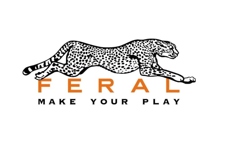 Per Feral Apple Silicon migliora i videogiochi su Mac