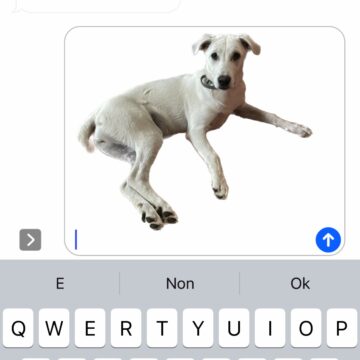 Come isolare, copiare e condividere soggetti dalle foto in iOS 16