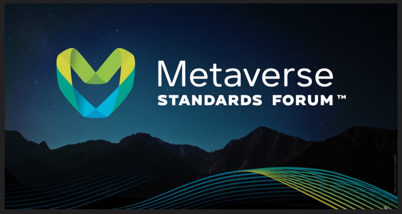 metaverso standard