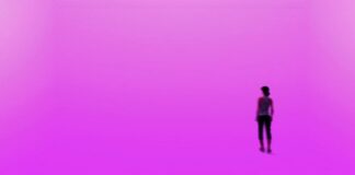 I migliori romanzi francesi contemporanei