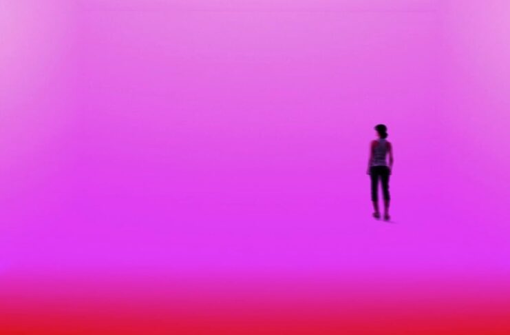 I migliori romanzi francesi contemporanei