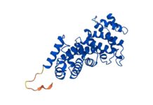L’IA di DeepMind ha individuato la struttura di quasi tutte le proteine esistenti conosciute