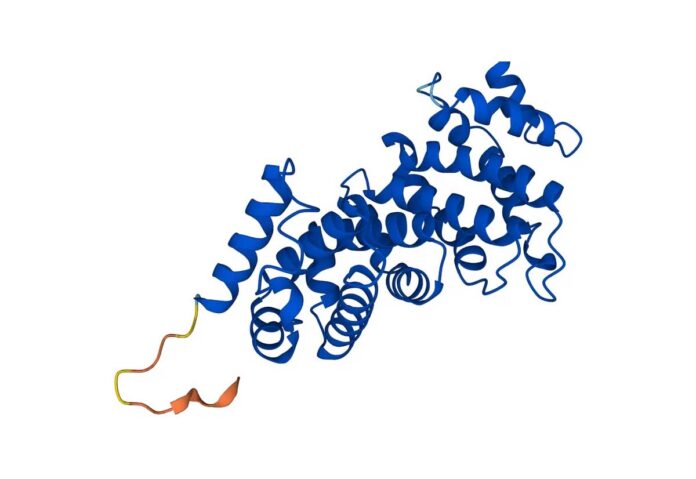 L’IA di DeepMind ha individuato la struttura di quasi tutte le proteine esistenti conosciute