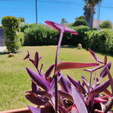 Recensione POCO F4, un terminale onesto con le carte in regola