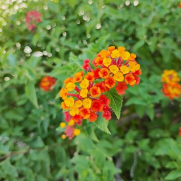 Recensione POCO F4, un terminale onesto con le carte in regola