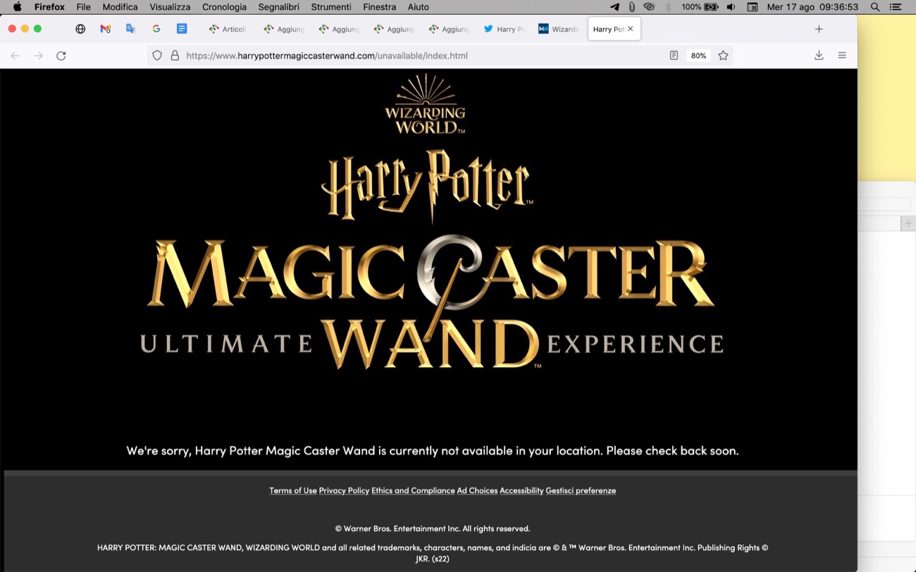 Harry Potter Magic Caster Wand
