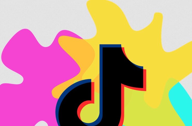 TikTok forse può vedere tutto quello che digiti