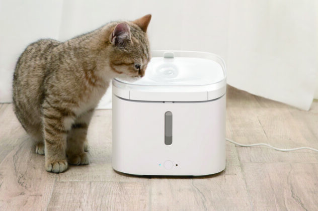 Da Xiaomi le periferiche smart per assicurare cibo e acqua sempre freschi ai propri animali domestici