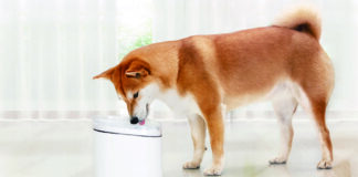 Da Xiaomi le periferiche smart per assicurare cibo e acqua sempre freschi ai propri animali domestici