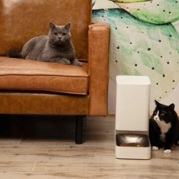 Da Xiaomi le periferiche smart per assicurare cibo e acqua sempre freschi ai propri animali domestici