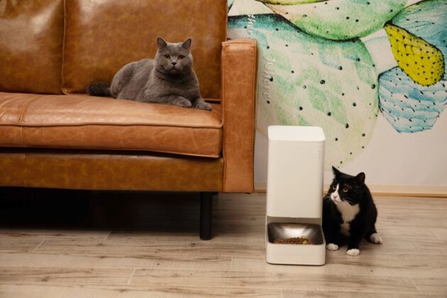 Da Xiaomi le periferiche smart per assicurare cibo e acqua sempre freschi ai propri animali domestici