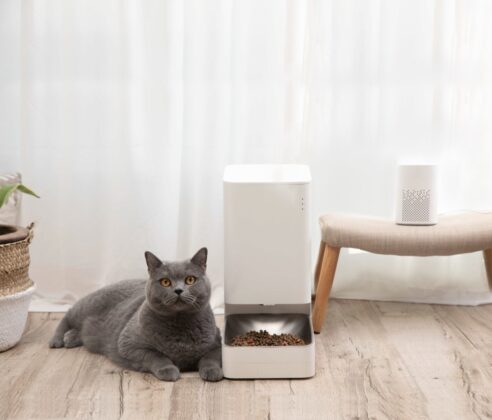 Da Xiaomi le periferiche smart per assicurare cibo e acqua sempre freschi ai propri animali domestici