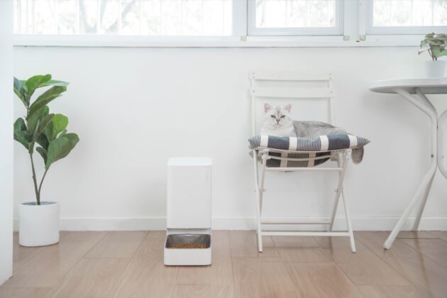 Da Xiaomi le periferiche smart per assicurare cibo e acqua sempre freschi ai propri animali domestici