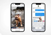 iOS 16, usi creativi della funzione di rimozione del soggetto dallo sfondo