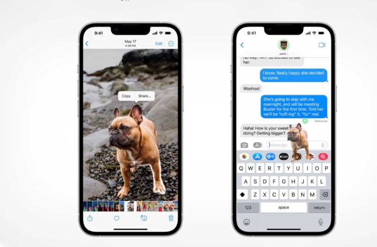 iOS 16, usi creativi della funzione di rimozione del soggetto dallo sfondo