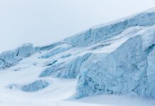 Starlink porta Internet ad alta velocità in 7 continenti Starlink porta Internet ad alta velocità in 7 continenti