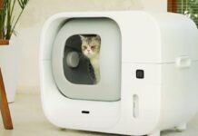 Furbulous Box è la lettiera smart per gatti che si pulisce da sola