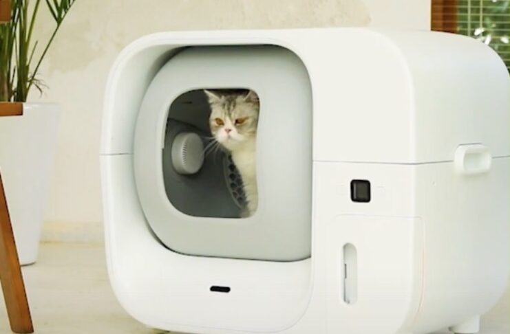 Furbulous Box è la lettiera smart per gatti che si pulisce da sola