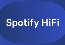 Spotify Platinum da 20 dollari con HiFi e altro ancora potrebbe arrivare presto