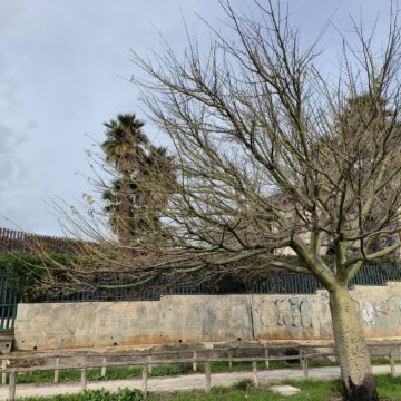 Recensione OPPO Reno8 Pro