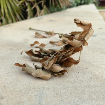 Recensione OPPO Reno8 Pro