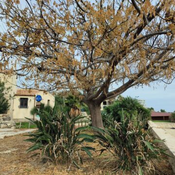 Recensione OPPO Reno8 Pro