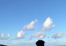 Instagram Recap 2022, i Reels più belli e modelli pronti da usare Instagram Recap 2022, i Reels più belli e modelli pronti da usare