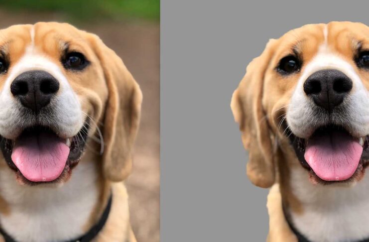 macOS Ventura, come scontornare un soggetto dallo sfondo nelle foto