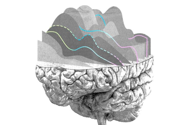 Elon Musk, entro sei mesi sperimentazione del chip Neuralink nel cervello umano